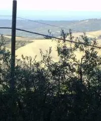 Vasto Vendita Appartamento Vasto Vendita Appartamento
