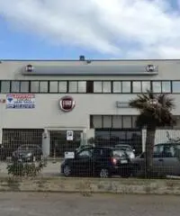 Affitto Capannone in Via Venere Affitto Capannone in Via Venere