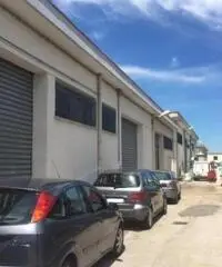 Affitto Capannone in Via Cancelliera, 56 Affitto Capannone in Via Cancelliera, 56