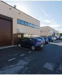 Affitto Magazzino in Via degli Olmetti Affitto Magazzino in Via degli Olmetti