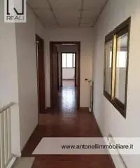 Albano Laziale -  Capannone 9 locali € 3.000 CA902 Albano Laziale -  Capannone 9 locali € 3.000 CA902
