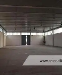 Albano Laziale -  Capannone 9 locali € 3.000 CA902 Albano Laziale -  Capannone 9 locali € 3.000 CA902