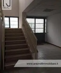 Albano Laziale -  Capannone 9 locali € 3.000 CA902 Albano Laziale -  Capannone 9 locali € 3.000 CA902