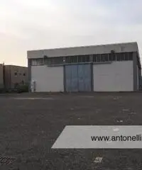Albano Laziale -  Capannone 9 locali € 3.000 CA902 Albano Laziale -  Capannone 9 locali € 3.000 CA902