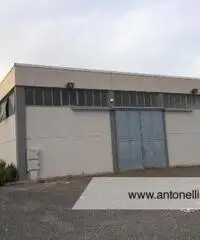 Albano Laziale -  Capannone 9 locali € 3.000 CA902 Albano Laziale -  Capannone 9 locali € 3.000 CA902