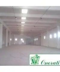 Bagni Di Tivoli: Affitto Magazzino da 810mq