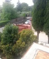 Capannone  Velletri Capannone  Velletri