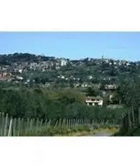 Colle Cavaliere-pietrara: Vendita Capannone in Via Nettunense Colle Cavaliere-pietrara: Vendita Capannone in Via Nettunense