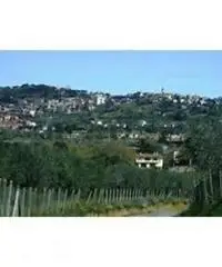 Colle Cavaliere-pietrara: Vendita Capannone in Via Nettunense Colle Cavaliere-pietrara: Vendita Capannone in Via Nettunense