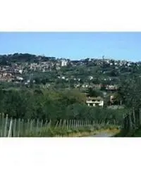 Colle Cavaliere-pietrara: Vendita Capannone in Via Laviniense Colle Cavaliere-pietrara: Vendita Capannone in Via Laviniense