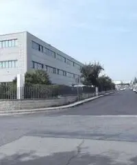 Le Macere: Vendita Capannone in VIA DEGLI OLMETTI