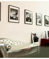 Le Rughe: Vendita Laboratorio in Via degli Olmetti Le Rughe: Vendita Laboratorio in Via degli Olmetti