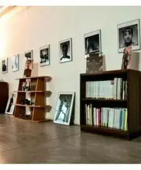 Le Rughe: Vendita Laboratorio in Via degli Olmetti Le Rughe: Vendita Laboratorio in Via degli Olmetti