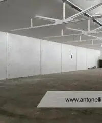 Marino -  Capannone mq 500 € 2.000 CA904 Marino -  Capannone mq 500 € 2.000 CA904