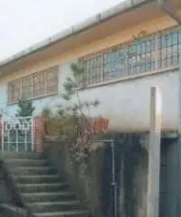 Pian Di Gerri: Vendita Capannone in Via di Cori Pian Di Gerri: Vendita Capannone in Via di Cori