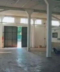 Pian Di Gerri: Vendita Capannone in Via di Cori Pian Di Gerri: Vendita Capannone in Via di Cori