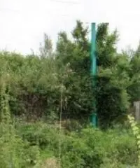Pian Di Gerri: Vendita Capannone in Via Appia Sud, 3 angolo Via Caranella Pian Di Gerri: Vendita Capannone in Via Appia Sud, 3 angolo Via Caranella