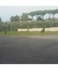 POMEZIA MONTE D ORO CAPANNONE 1500 MQ. PIAZZALE 1000 MQ. POMEZIA MONTE D ORO CAPANNONE 1500 MQ. PIAZZALE 1000 MQ.