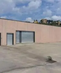 Santa Lucia: Affitto Capannone in via Monte Bianco Santa Lucia: Affitto Capannone in via Monte Bianco