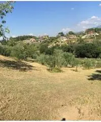 Santa Lucia: Vendita Magazzino in Via Palombarese