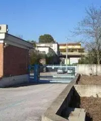 Santa Procula: Affitto Capannone in via pontina vecchia Santa Procula: Affitto Capannone in via pontina vecchia