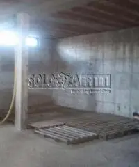 Stazione Di Vigna Di Valle: Affitto Magazzino da 50mq Stazione Di Vigna Di Valle: Affitto Magazzino da 50mq