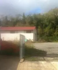Testa Di Lepre Di Sopra: Vendita Capannone in Via dell'Arrone Testa Di Lepre Di Sopra: Vendita Capannone in Via dell'Arrone