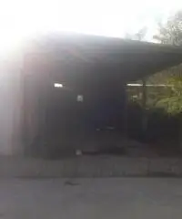 Testa Di Lepre Di Sopra: Vendita Capannone in Via dell'Arrone Testa Di Lepre Di Sopra: Vendita Capannone in Via dell'Arrone