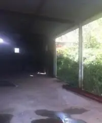 Testa Di Lepre Di Sopra: Vendita Capannone in Via dell'Arrone Testa Di Lepre Di Sopra: Vendita Capannone in Via dell'Arrone