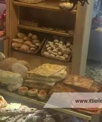 Velletri -  Laboratorio 3 locali € 100.000 LT301 Velletri -  Laboratorio 3 locali € 100.000 LT301