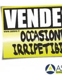 Vendita Capannone da 3635mq