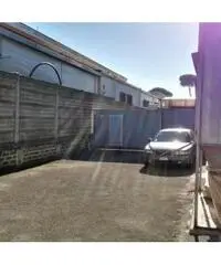 Vendita Capannone in Via Cancelliera, 60