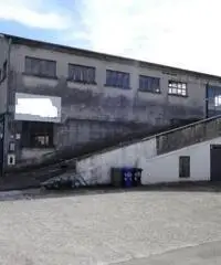 Industriale/Artigianale in vendita a Zibello Industriale/Artigianale in vendita a Zibello