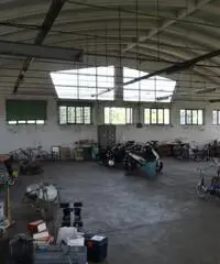 Industriale/Artigianale in vendita a Zibello Industriale/Artigianale in vendita a Zibello
