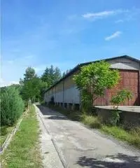 C2MI - Capannone a Perugia C2MI - Capannone a Perugia