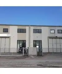 Vendita Capannone in Via dei Tigli Vendita Capannone in Via dei Tigli