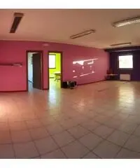 Vendita Capannone in Via dei Tigli Vendita Capannone in Via dei Tigli