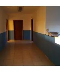 Vendita Capannone in Via dei Tigli Vendita Capannone in Via dei Tigli