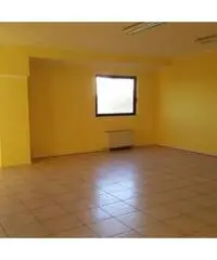 Vendita Capannone in Via dei Tigli Vendita Capannone in Via dei Tigli