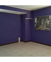 Vendita Capannone in Via dei Tigli Vendita Capannone in Via dei Tigli