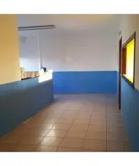 Vendita Capannone in Via dei Tigli Vendita Capannone in Via dei Tigli