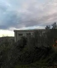 Affitto Capannone da 250mq