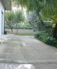 Affitto Magazzino da 150mq