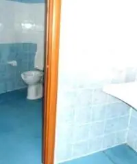 Affitto Magazzino da 170mq