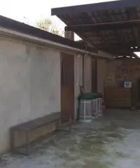 Vendita Magazzino da 420mq