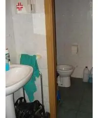 Capannone artigianale in vendita a OSPEDALETTO - Pisa 266 mq  Rif: 260266 Capannone artigianale in vendita a OSPEDALETTO - Pisa 266 mq  Rif: 260266