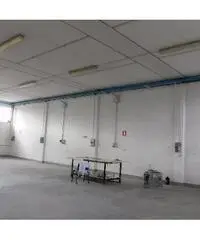 Capannone industriale in vendita a Cascina 300 mq  Rif: 462224 Capannone industriale in vendita a Cascina 300 mq  Rif: 462224
