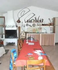 Magazzino in vendita a Calci 36 mq  Rif: 321414 Magazzino in vendita a Calci 36 mq  Rif: 321414