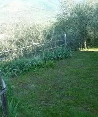 Magazzino in vendita a Calci 36 mq  Rif: 321414 Magazzino in vendita a Calci 36 mq  Rif: 321414