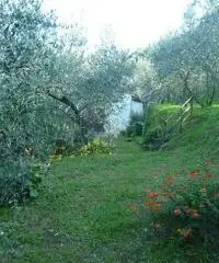 Magazzino in vendita a Calci 36 mq  Rif: 321414 Magazzino in vendita a Calci 36 mq  Rif: 321414